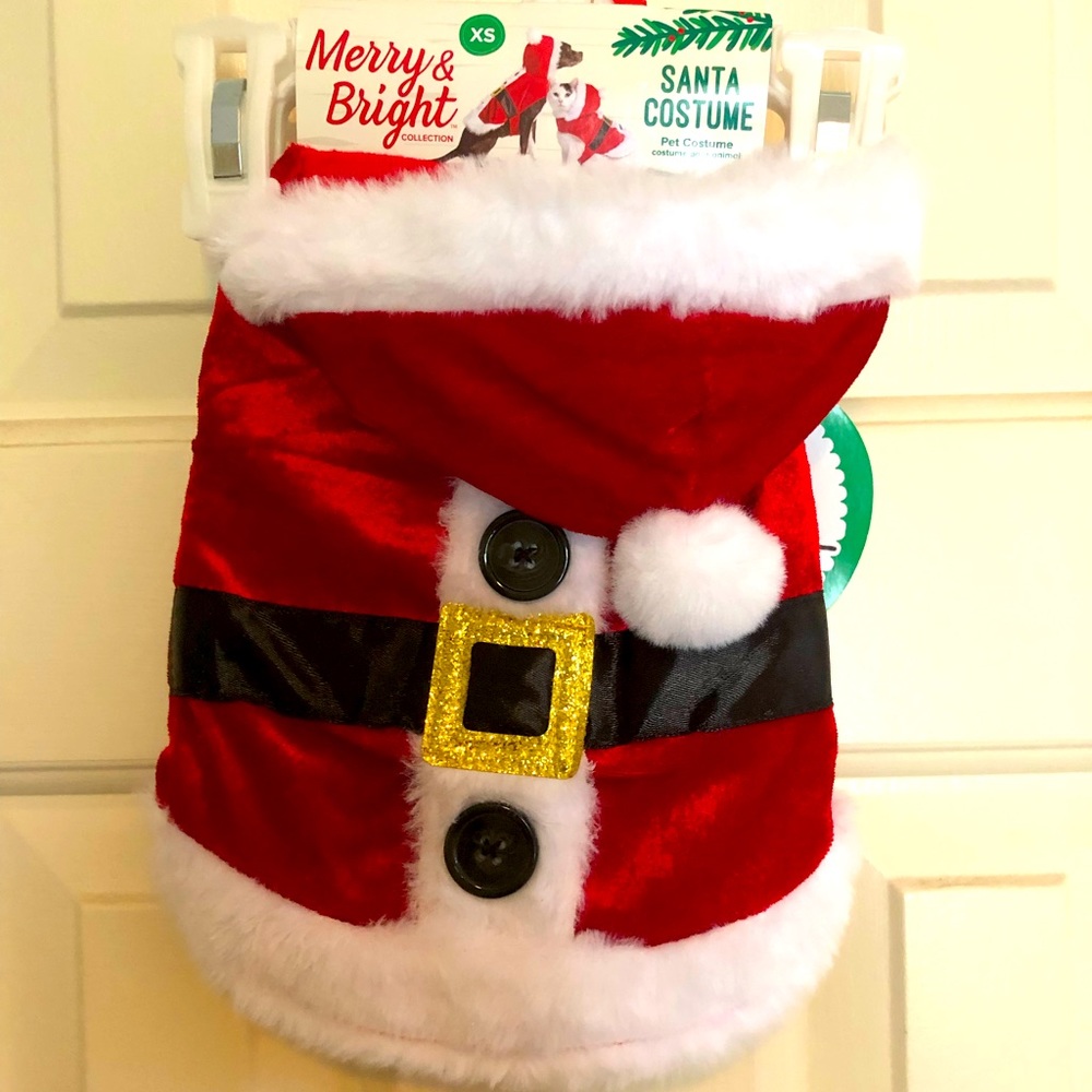Merry and Bright Santa pet costume